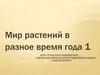 Мир растений в разное время года