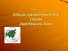 Общая характеристика стран Зарубежной Азии
