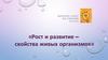 Рост и развитие – свойства живых организмов