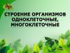 Строение организмов: одноклеточные, многоклеточные