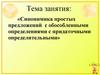 Синонимика простых предложений с обособленными определениями с придаточными определительными