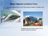 Maglev (Magnetic Levitation) Trains