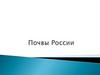 Почвы России