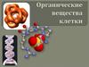 Органические вещества клетки