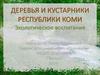 Деревья и кустарники республики Коми