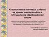 Изготовление плечевых изделий на уроках швейного дела в специальной коррекционной школе