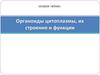 Органоиды цитоплазмы, их строение и функции