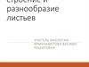 Внешнее строение и разнообразие листьев