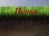 Почва