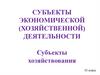 Субъекты экономической (хозяйственной) деятельности