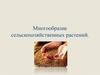 Многообразие сельскохозяйственных растений