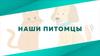 Наши питомцы (правила ответственного хозяина)