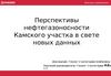 Перспективы нефтегазоносности Камского участка в свете новых данных
