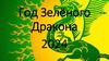 Год Зелёного Дракона 2024