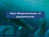 Макроэволюция и ее доказательства