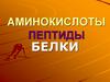 Аминокислоты. Пептиды. Белки