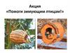 Кормушка. Помоги зимующим птицам! Акция