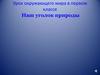 Наш уголок природы. Урок окружающего мира в первом классе
