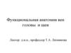 Функциональная анатомия вен головы и шеи. Венозная система