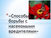 Способы борьбы с насекомыми вредителями
