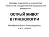 Острый живот в гинекологии