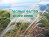 Тёплый ветер тихо веет…