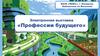 Электронная выставка «Профессии будущего»