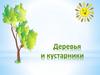 Деревья и кустарники
