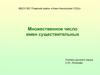 Множественное число имен существительных