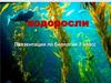 Водоросли. Биология. 7 класс