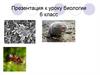 Кто живет в почве? Биология. 6 класс