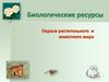 Биологические ресурсы. Охрана растительного и животного мира