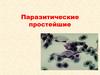 Паразитические простейшие