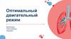 Оптимальный двигательный режим
