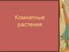 Комнатные растения
