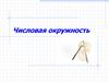 Числовая окружность