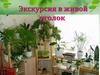 Экскурсия в живой уголок