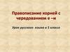 Правописание корней с чередованием е - и