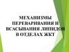 Механизмы переваривания и всасывания липидов