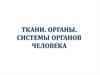 Ткани. Органы. Системы органов человека