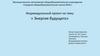 Энергия будущего. Индивидуальный проект