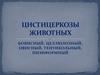 Цистицеркозы животных