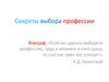 Секреты выбора профессии