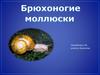 Брюхоногие моллюски (улитки)