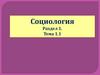 Объект, предмет и функции социологии  (лекция № 1)