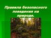 Правила безопасного поведения на природе