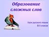 Образование сложных слов. Урок русского языка в 5 классе
