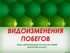 Вегетативные органы растений. Биология, 6 класс