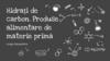 Hidrați de carbon. Produse alimentare de materie primă