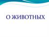 О животных